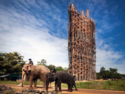 El observatorio de elefantes explora las posibilidad de construir una torre en ladrillo cerámico.