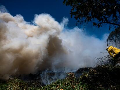 Incêndio no Parque do Cocó, em Fortaleza, atinge uma área equivalente a 46 campos de futebol.