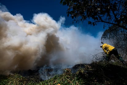 Incêndio no Parque do Cocó, em Fortaleza, atinge uma área equivalente a 46 campos de futebol.