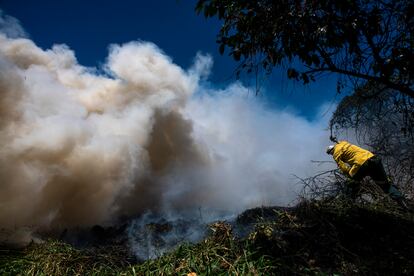 Incêndio no Parque do Cocó, em Fortaleza, atinge uma área equivalente a 46 campos de futebol.