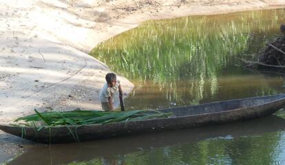 Un niño Shuar trabaja con una canoa.