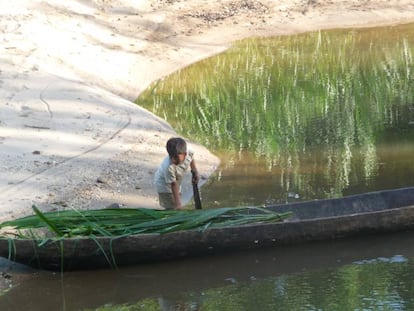 Un niño Shuar trabaja con una canoa. 