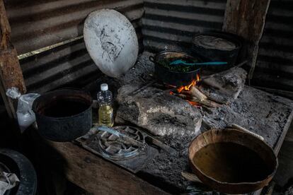 Dentro de la cocina de Méndez. Las hojas de mora son la comida del día, que acompañará con tortillas de maíz. Tienen un sabor amargo, disipado por la sal con la que son cocidas.