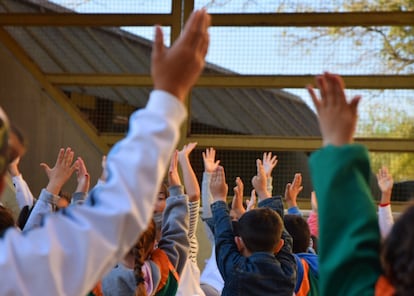 Niños practicando una de las clases de yoga.