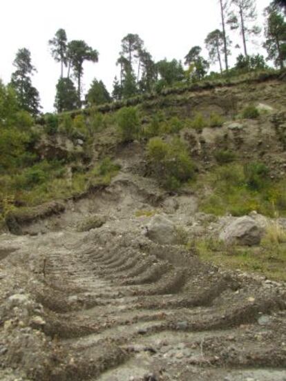 Grandes hectáreas de bosque son devastadas por la erosión y el uso de maquinarias para extraer materiales del subsuelo.