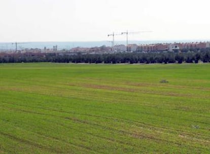 Terreno protegido en el que se planea construir parte de las 20.000 viviendas en Illescas.