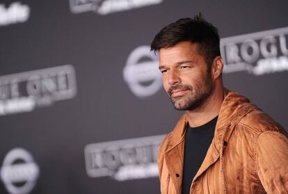 El cantante Ricky Martin.