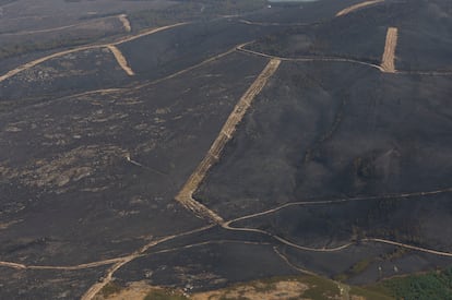 Vista de una zona afectada por el incendio de A Rúa (Ourense), este domingo.