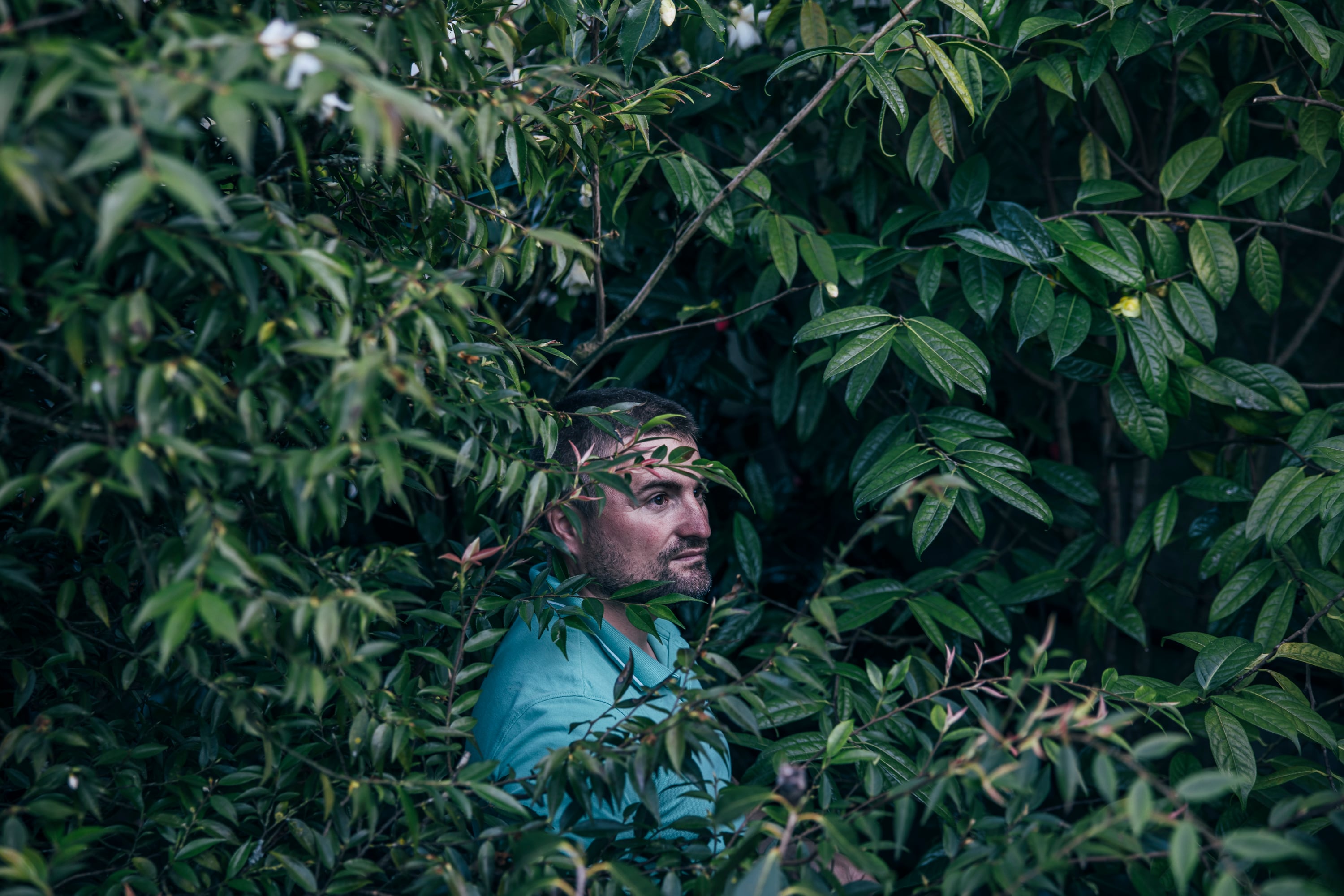 El ganador de la Camelia de Ouro, entre la vegetación de su finca de Rubiáns.