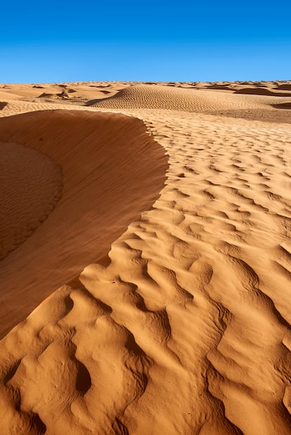 Las dunas de Erg Oriental en el oasis de Ksar Ghilane.