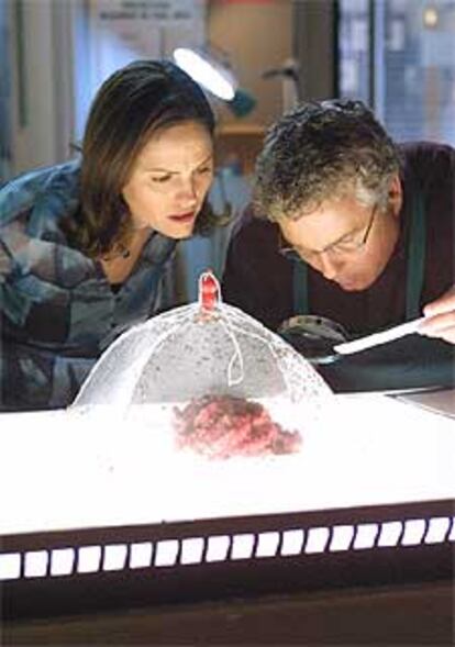 Jorja Fox y William Petersen, en el laboratorio de <i>CSI: Las Vegas</i>