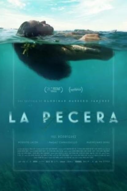 la pecera