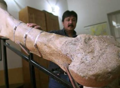 El director del INAH junto con el fémur de mamut recuperado en México