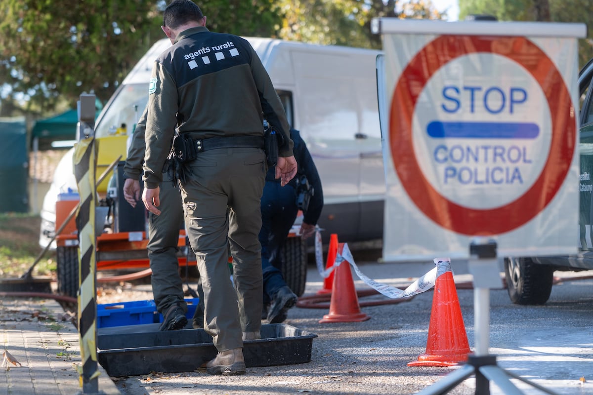 ERC y Junts exigen a Illa cancelar su viaje a México por crisis porcina urgente