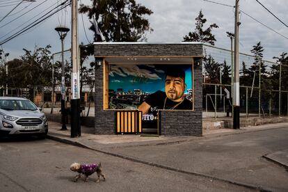 Gran memorial instalado en la población Yungay, en el municipio de La Granja, en el sur poniente de Santiago de Chile, en honor al asaltante y fanático del club de fútbol Colo Colo, Vito Osses Reyes. Fue asesinado de un balazo a los 29 años por otro delincuente apodado Lucho plátano, tras una discusión vial a plena luz del día.