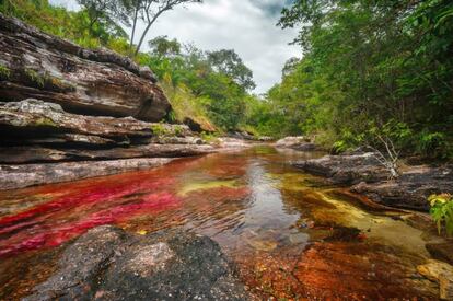 Caño Cristales.