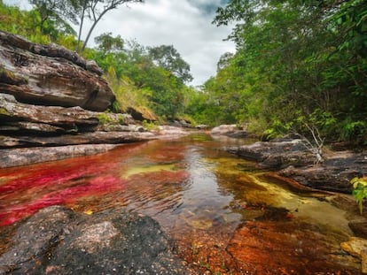 Ca&ntilde;o Cristales.