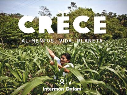Guatemala: el hambre de muchos enriquece a unos pocos