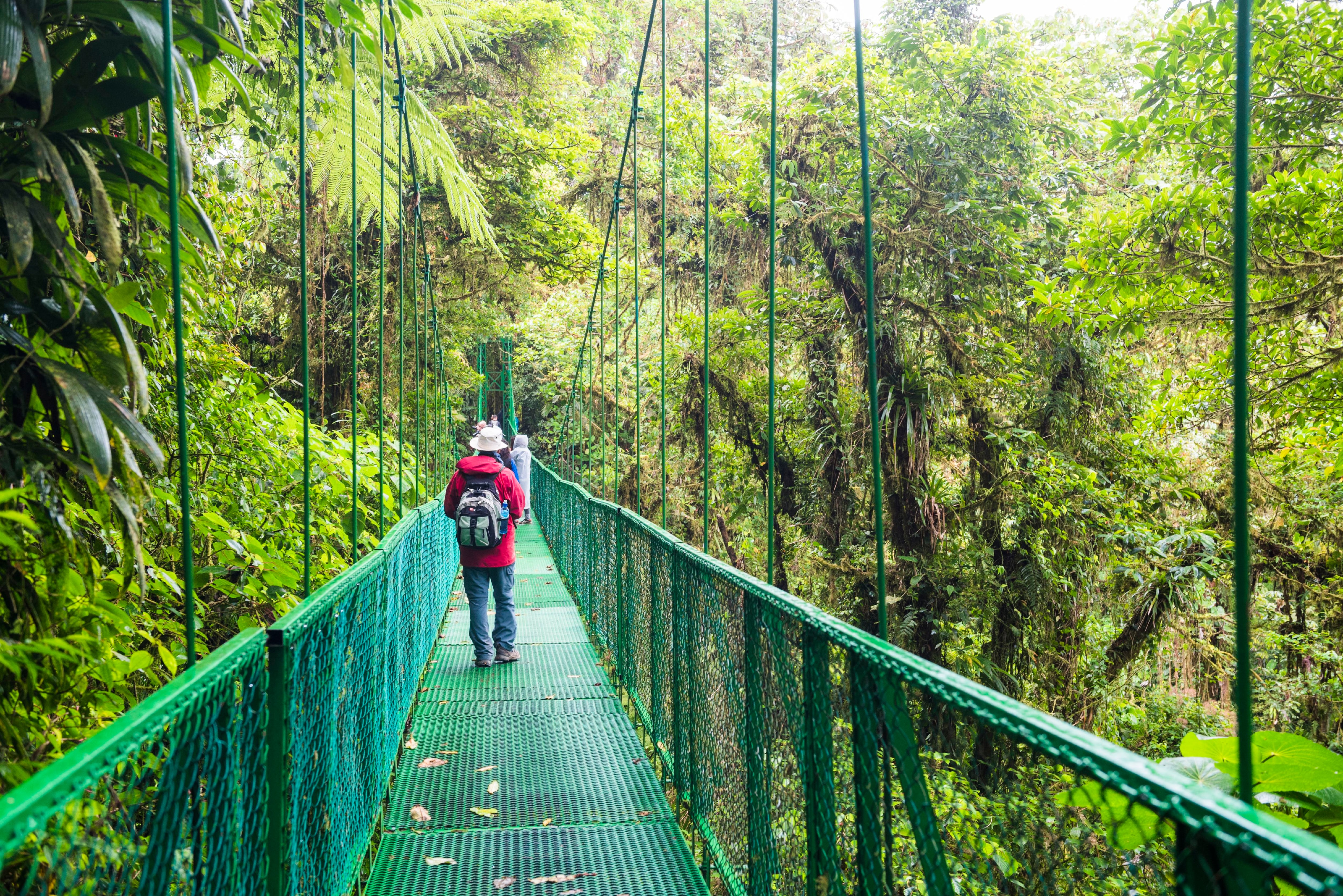 Invertir en estudiar la naturaleza frente al extractivismo para el desarrollo latinoamericano
