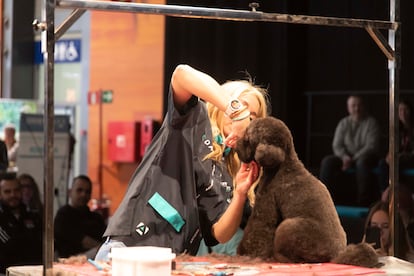 Clase práctica sobre peluquería canina en la última edición de la feria.