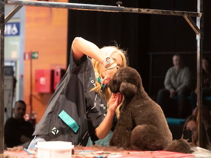 Clase práctica sobre peluquería canina en la última edición de la feria.