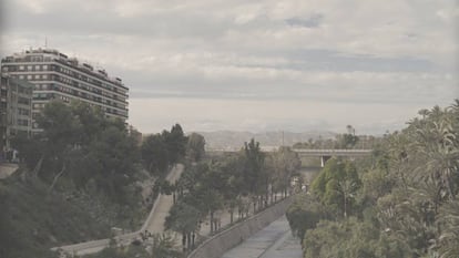 Panorámica de Elche.