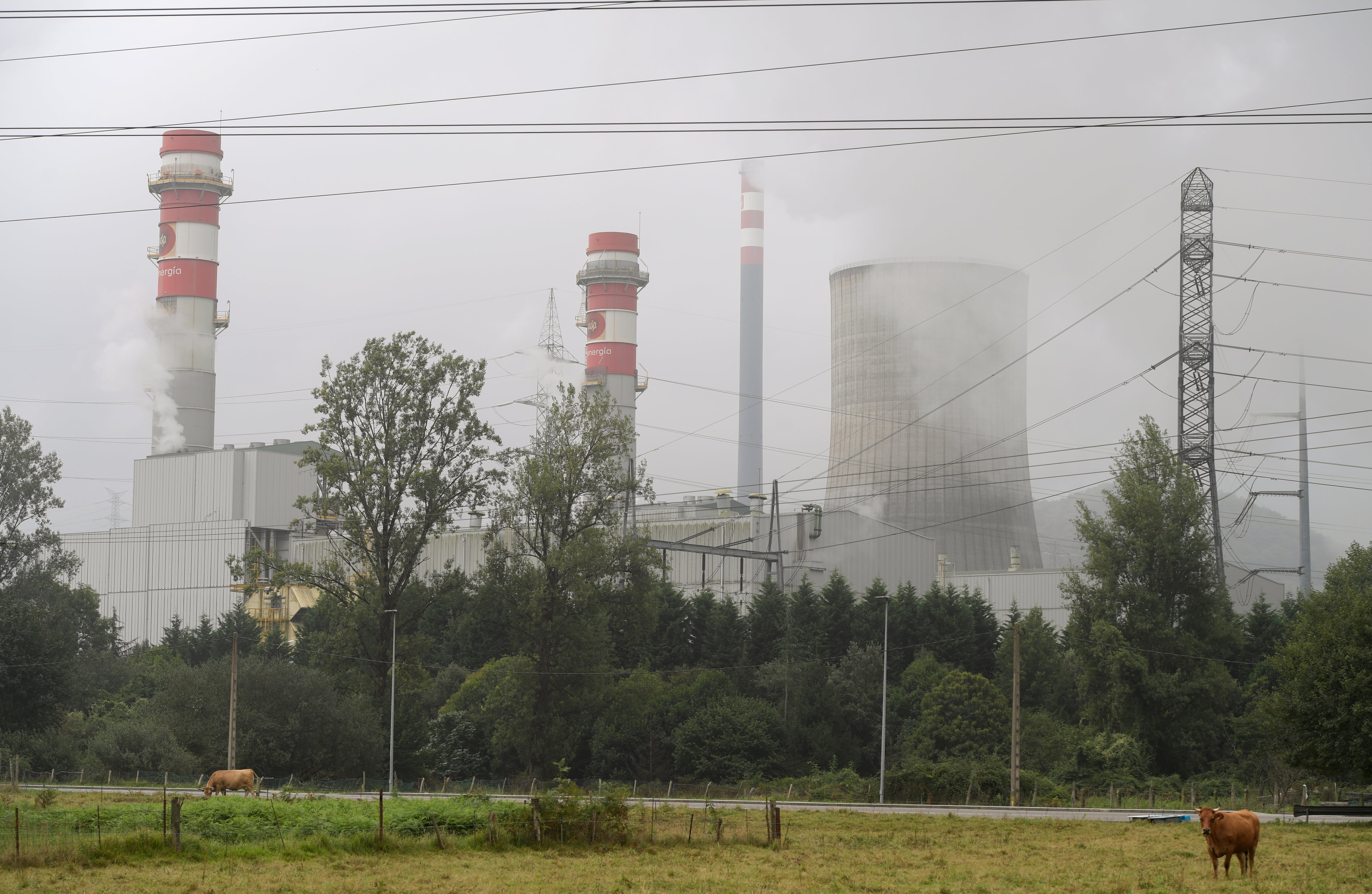 Las industrias recibirán 434 millones este año para que Red Eléctrica les pueda cortar el suministro