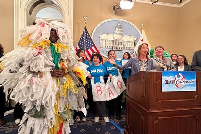 California Democratic state Sen. Catherine Blakespear