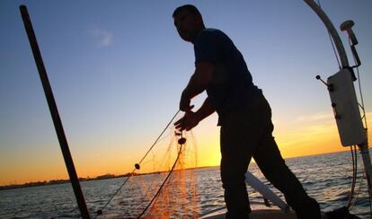 El 63% del pescado que se consume en España procede de capturas extracomunitarias.