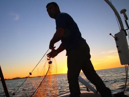 El 63% del pescado que se consume en España procede de capturas extracomunitarias.