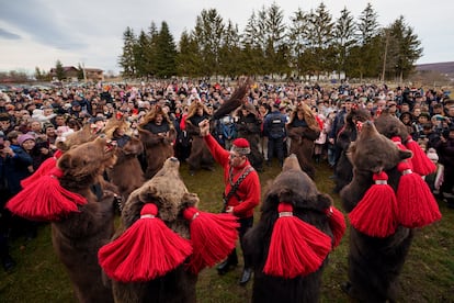 Members of the Sipoteni bear pack perform a ritual dance in Racova, northern Romania, Tuesday, Dec. 26, 2023.