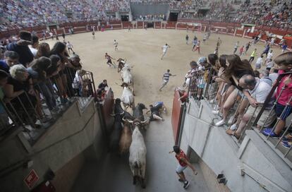 Los toros entran en la plaza La Cubierta en el primer encierro de Leganés.