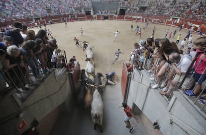 Los toros entran en la plaza La Cubierta de Legnaés, en una imagen de archivo.