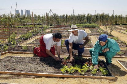 Agricultural expert Pablo Prieto (center) with two employees of the Carmen Pardo-Valcarce Foundation at the community garden.