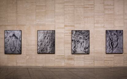 Vista de la exposición de Ana Mendieta 'En búsqueda del origen', en el MUSAC de León. 