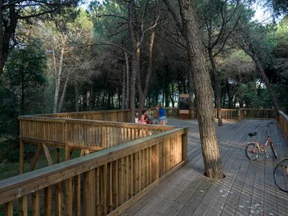 Prohibido pisar el parque