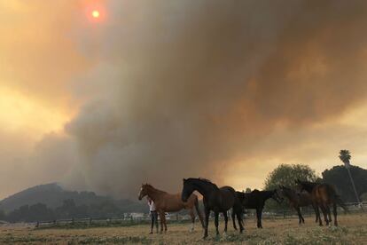 Un frente del incendio "Springs fire" se acerca al rancho Blackiston, cerca de Camarillo, California