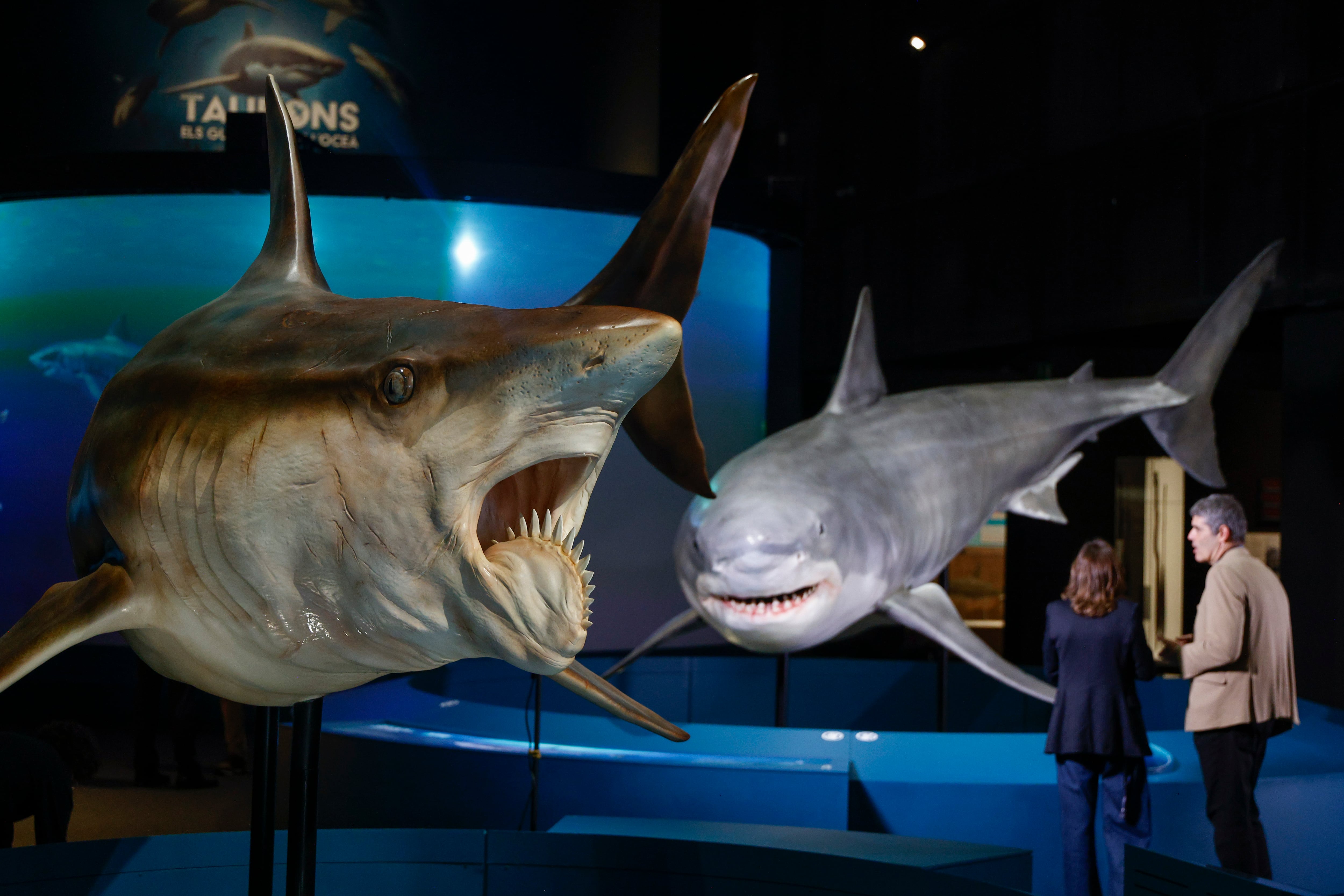 De una exposición de tiburones a un altar de muertos: los planes fuera de la oficina