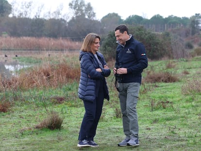 La vicepresidenta Teresa Ribera y el presidente andaluz, Juan Manuel Moreno, el lunes en las marismas del Rocío, en el Parque Nacional de Doñana.