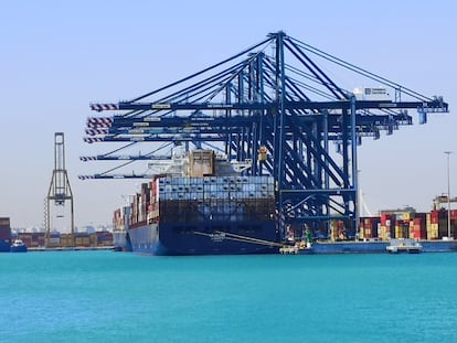 El portacontenedores MSC Le Havre, que ha llegado este martes al Puerto de Valencia procedente del canal de Suez.