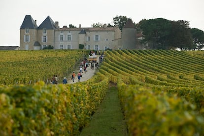 Viñedos del Château d’Yquem, de unos 250 acres, en la región francesa de Burdeos.