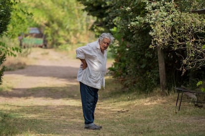 José 'Pepe' Mujica en su granja en las afueras de Montevideo, Uruguay, el 25 de enero de 2023.