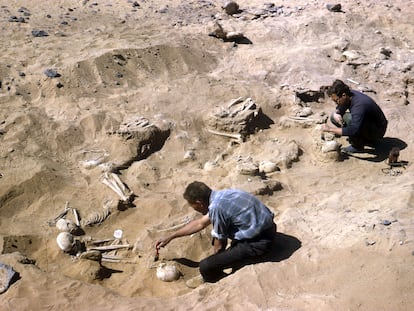 Excavación del cementerio 117 en los años 60, antes de que fuera cubierto por el embalse de Asuán.