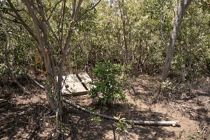 Mangueras, bidones, tarimas y demás recipientes son dejados en los lugares decomisados por las autoridades, pasando a formar parte de los manglares.