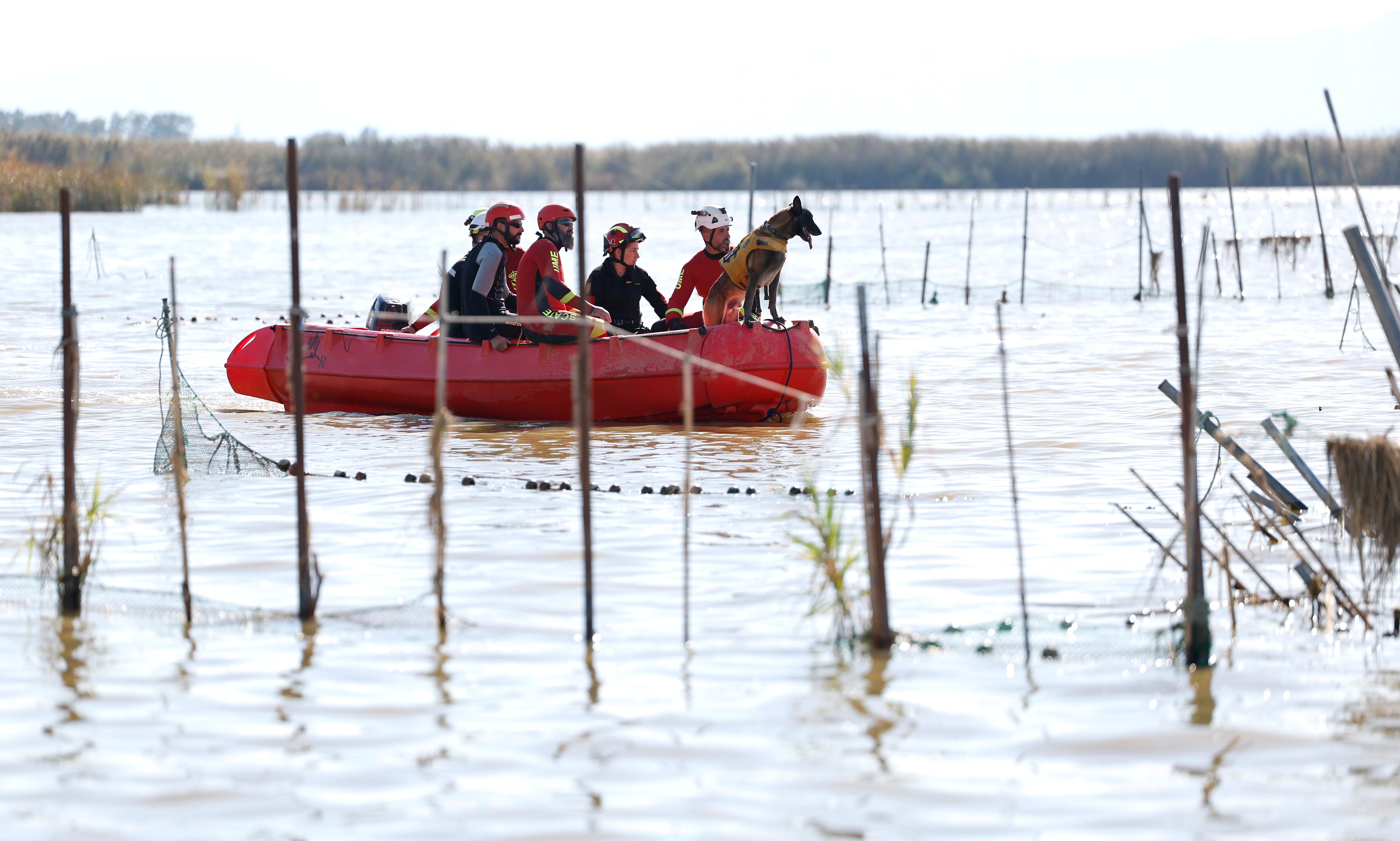 Ya no queda esperanza en la Albufera 