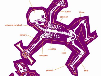 Ilustración de Jose Luis Cano para "Este cuerpo es humano" (Thule), de Grassa Toro
