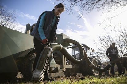 María Tejero, recoge castañas con una aspiradora. María es fisioterapeuta en Cáceres pero en los días festivos acude a la finca de su padre a trabajar.