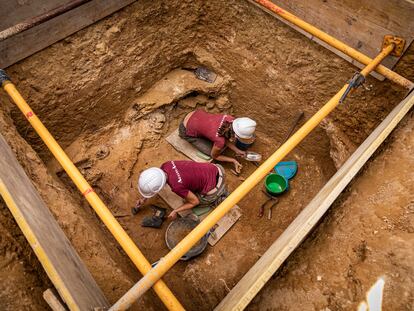 En una semana de trabajo, y después de 80 años, han comenzado a aparecer restos óseos en fosa 114 del cementerio de Paterna (Valencia).