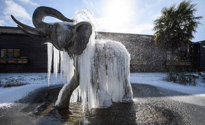 Una fuente de un elefante ha quedado congelada por las bajas temperaturas en Colchester (Gran Bretaña).