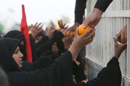 Naranjas son proporcionadas a los peregrinos musulmanes chiítas iraquíes, que caminaron a lo largo de la carretera principal de Najaf a la ciudad de Karbala, para participar en la fiesta religiosa Arbaeen.